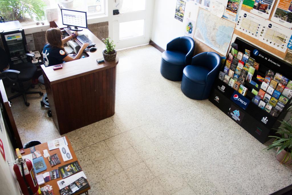 Hostel Hospedarte Chapultepec Гвадалахара Экстерьер фото
